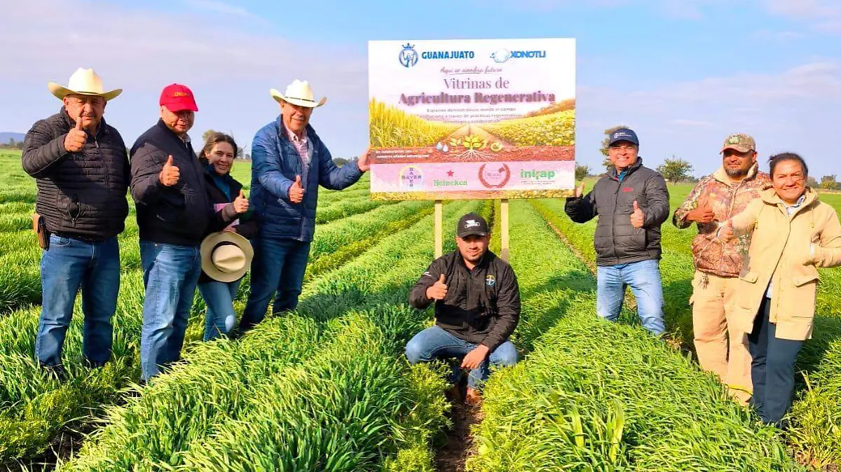 Parque Agro Tecnológico Xonotli, en colaboración con Baye