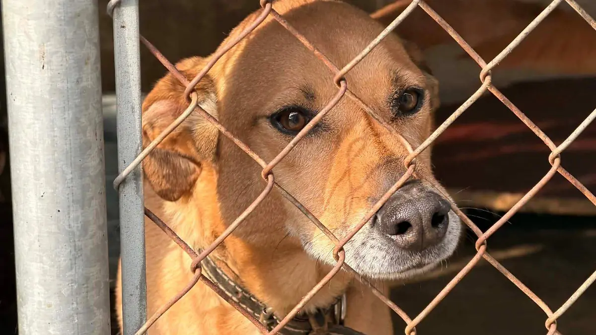 WhatsApp Image 2026-02-09 at 6.40.57 PM