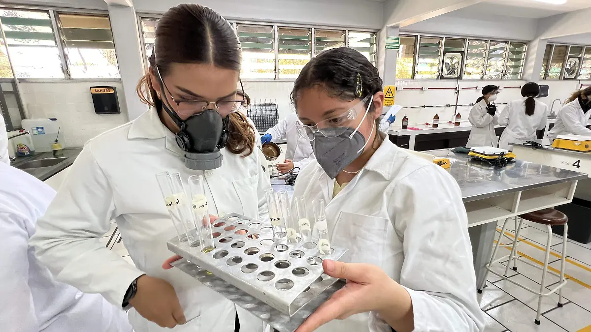 La alumnos realizan diferentes tipos de prácticas en el laboratorio