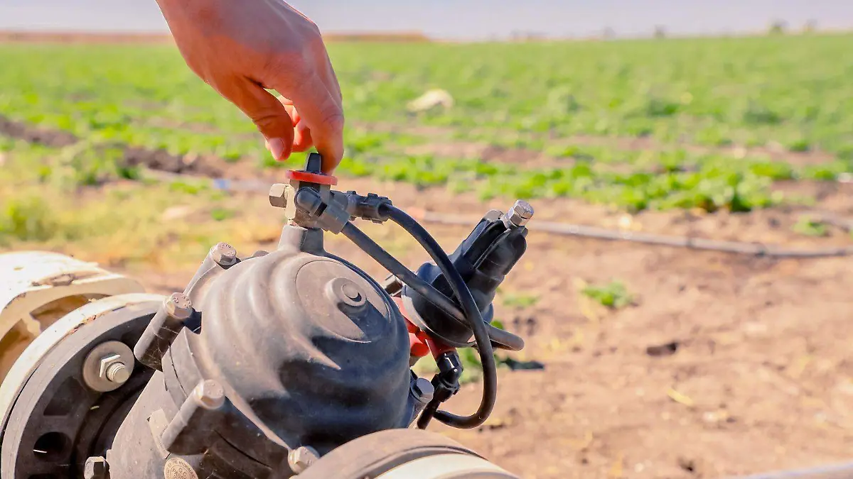 La titular Marisol Suárez Correa dijo que el 16 de febrero
