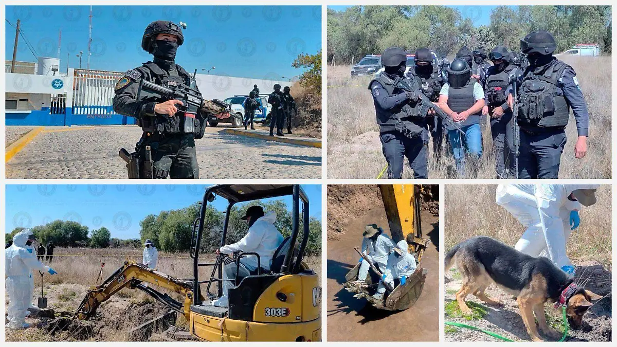 WhatsApp Image 2026-02-13 at 6.30.37 PM