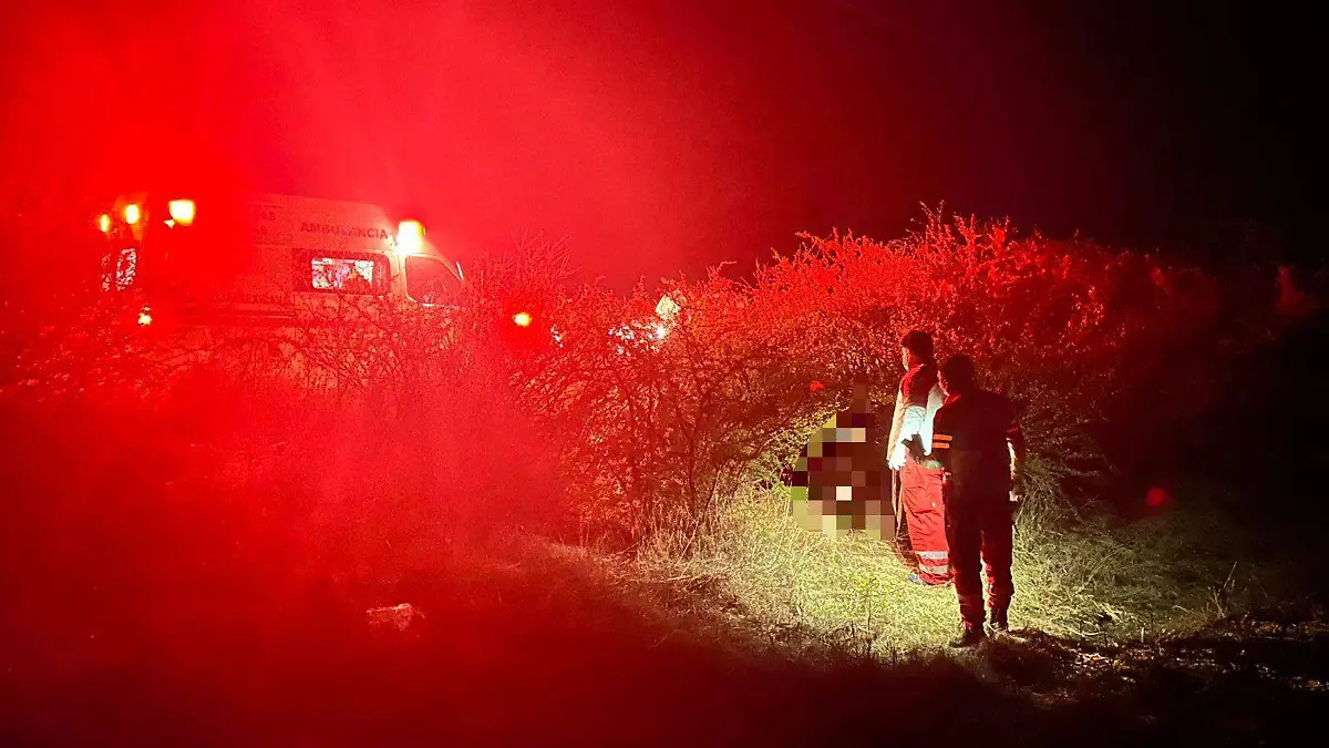 WhatsApp Image 2026-02-15 at 11.33.43 PM (1)