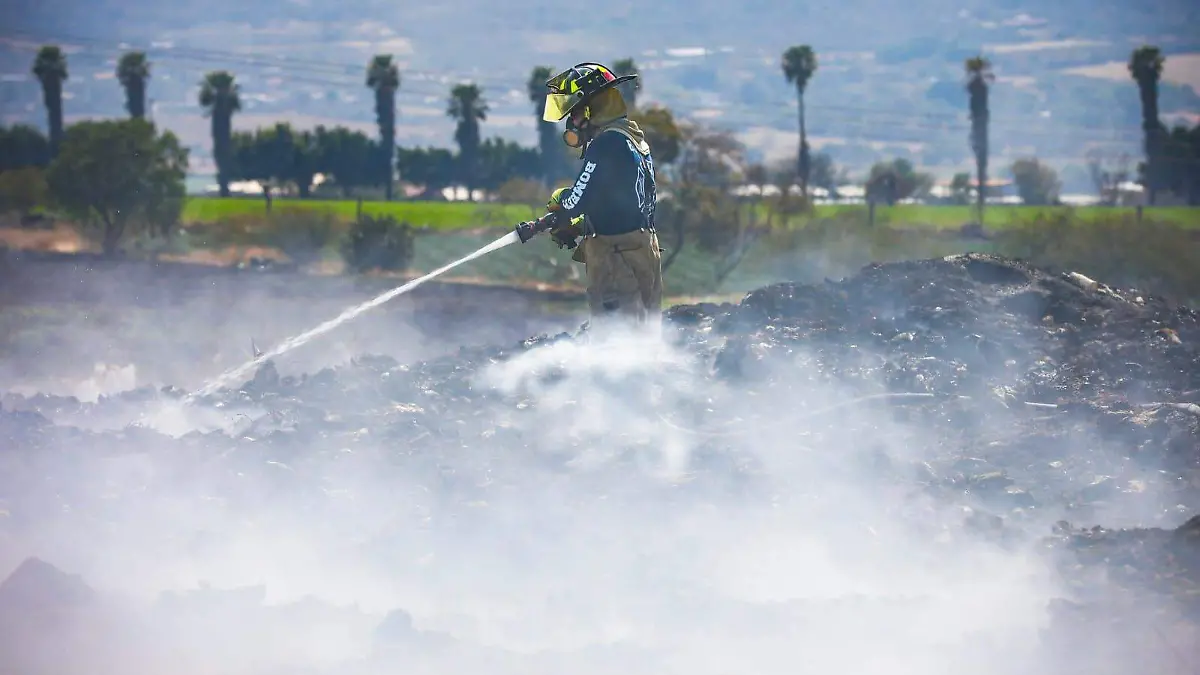 WhatsApp Image 2026-02-16 at 9.06.30 PM (1)