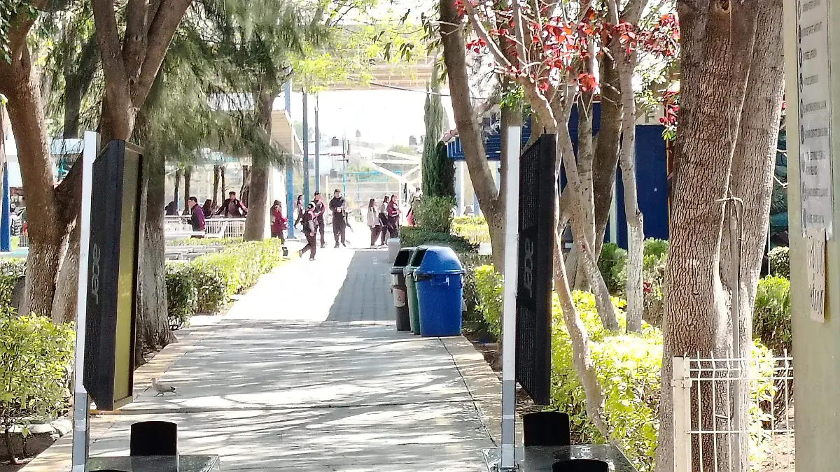 Alumnos saldrán como técnicos y preparados para el futuro. 