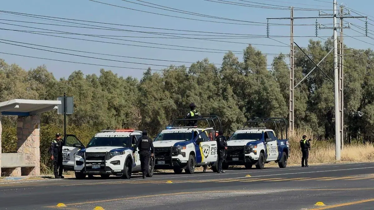 99235b31-9e07-46d5-bdb3-6057c8bf903d