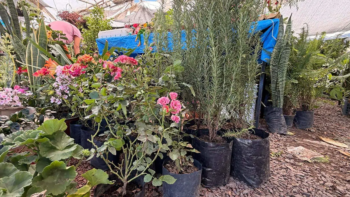 36edf8c1-d1af-4e07-aaeb-3219cfec78c6