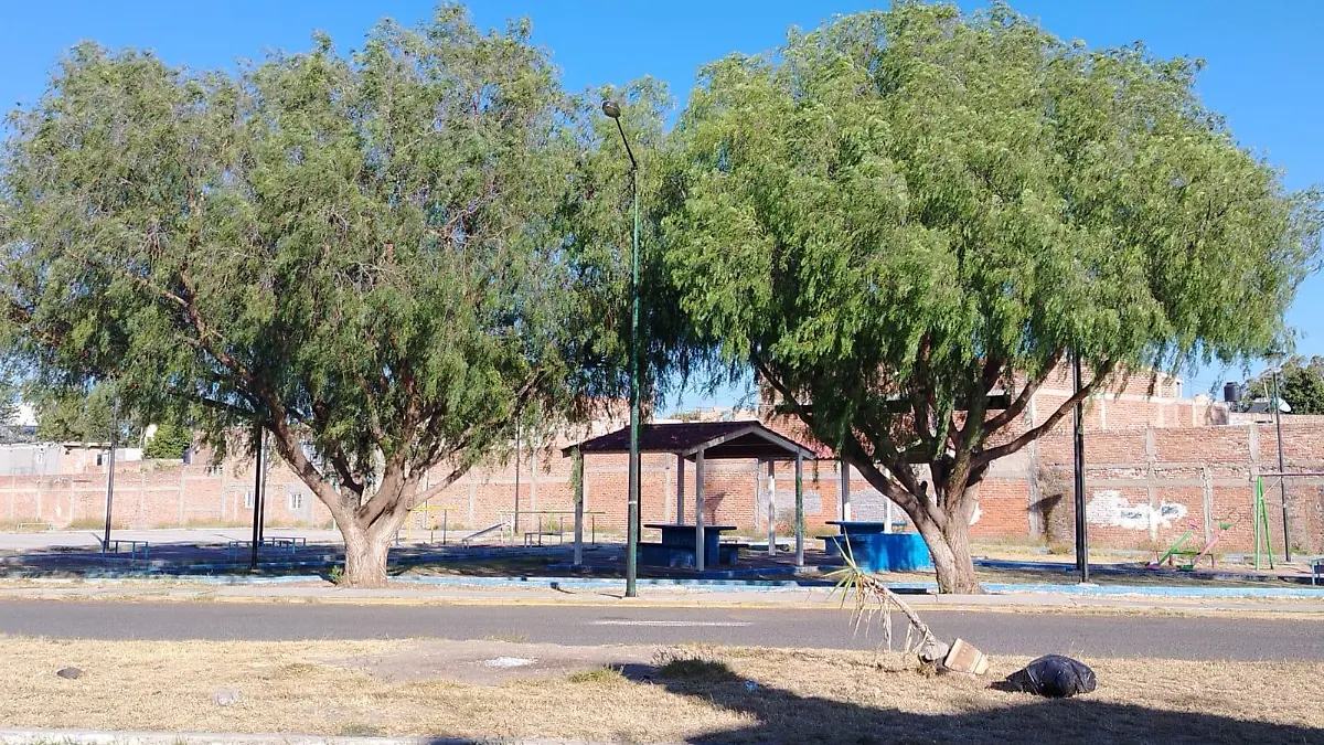 1417104c-b912-4b65-a483-fcef8d76118e