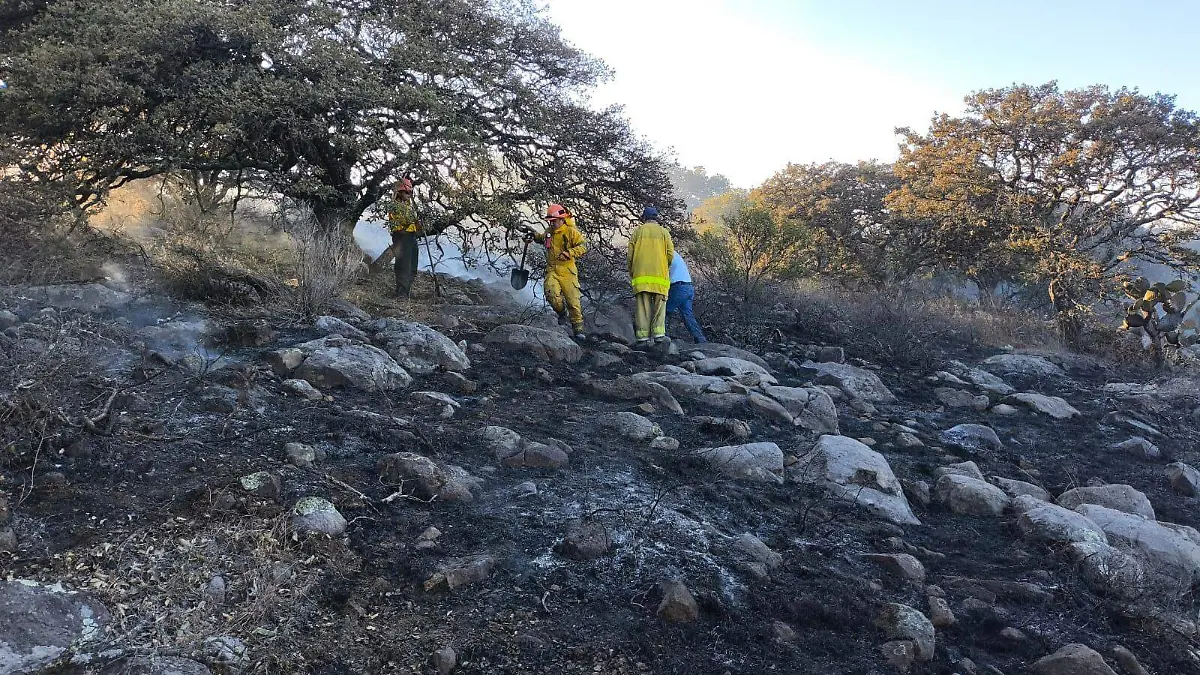 Incendio Los Picachos2