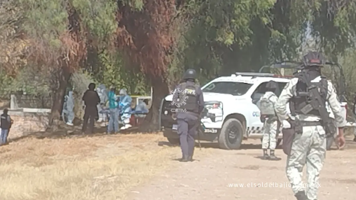 e6336645-77a2-4307-b027-609ad73be274