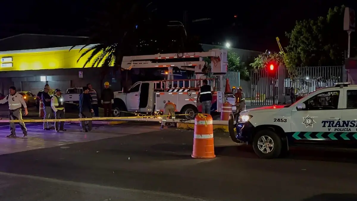 647b96b4-ce97-432f-88fc-6b5a3c5bdcf5