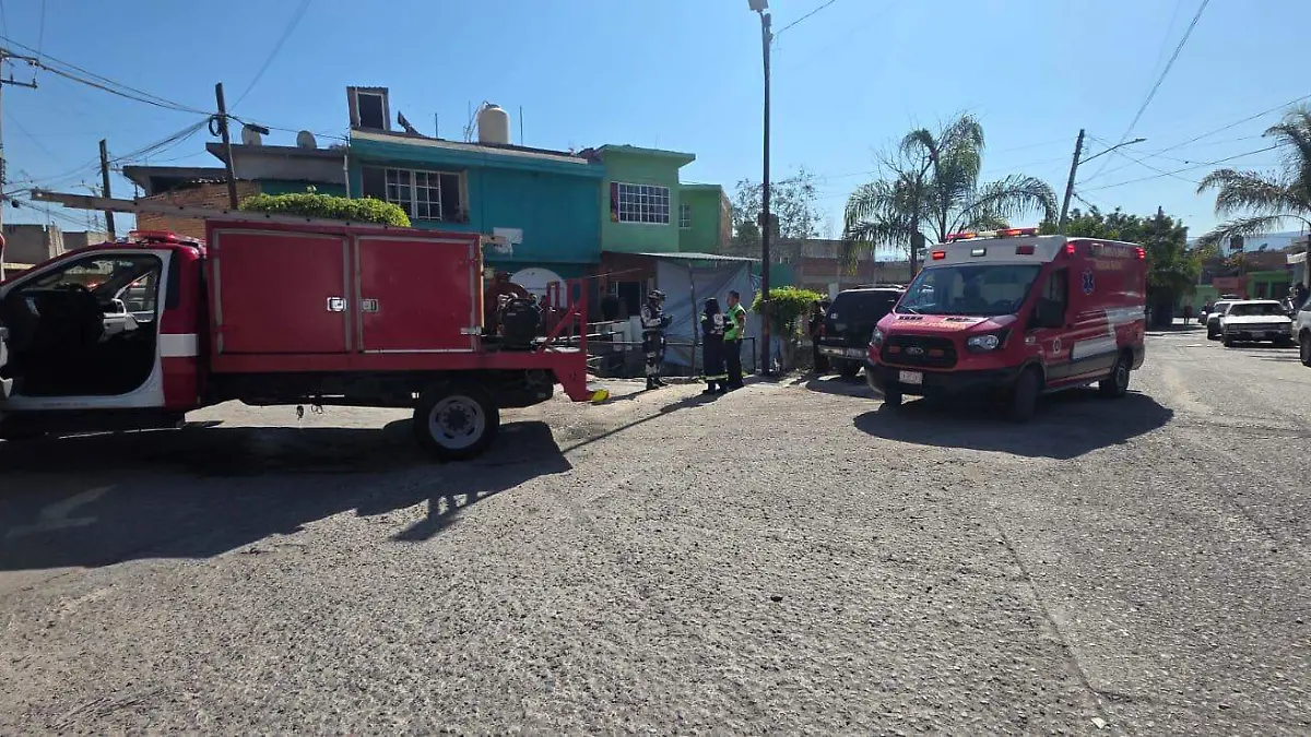 WhatsApp Image 2026-02-28 at 11.56.24