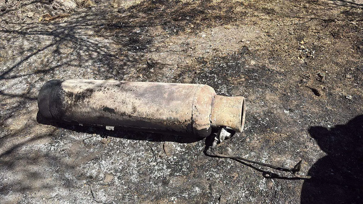 WhatsApp Image 2026-02-28 at 3.35.53 PM (1)