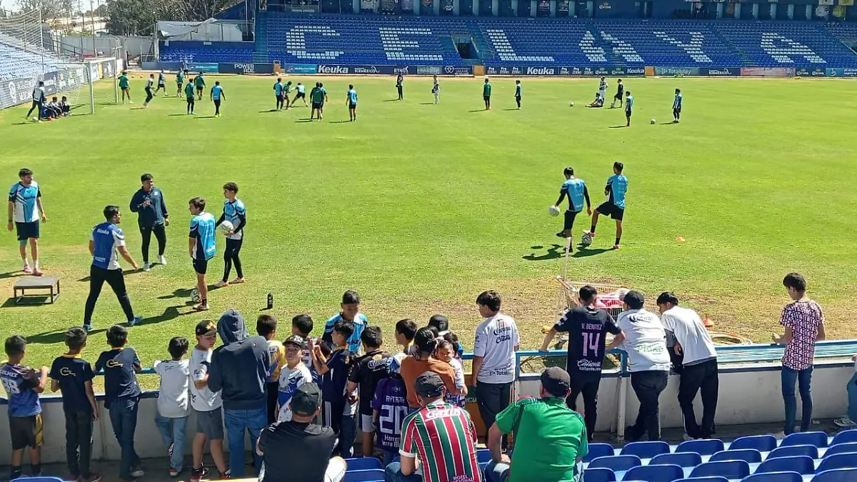 Aficionados de los.....