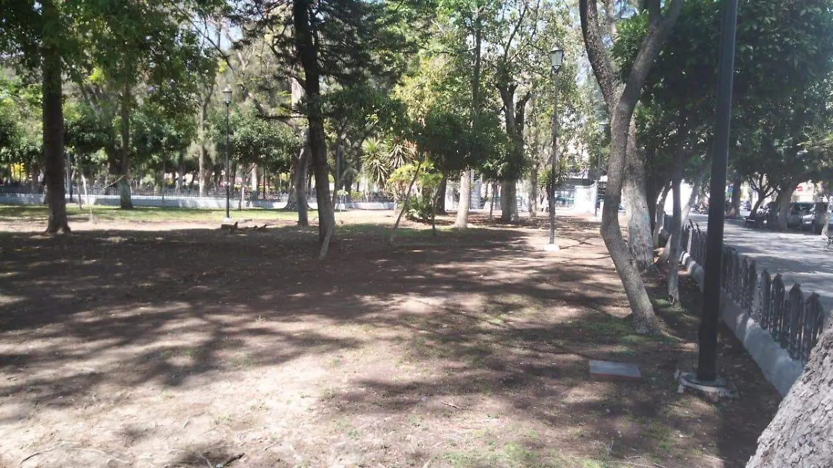 Durante los tres años se buscará llegar a los 100 mil árboles plantados.