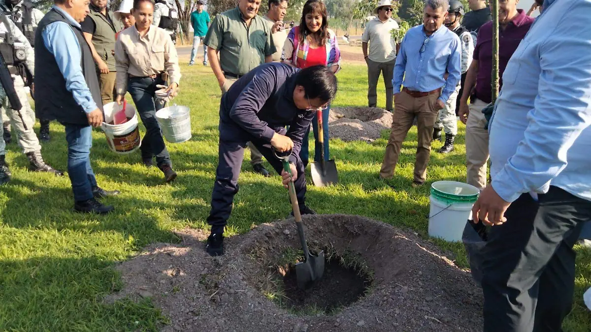 REFORESTACÍON 1