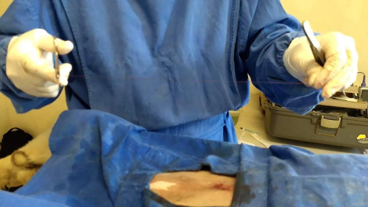 WhatsApp Image 2024-09-18 at 4.11.25 PM