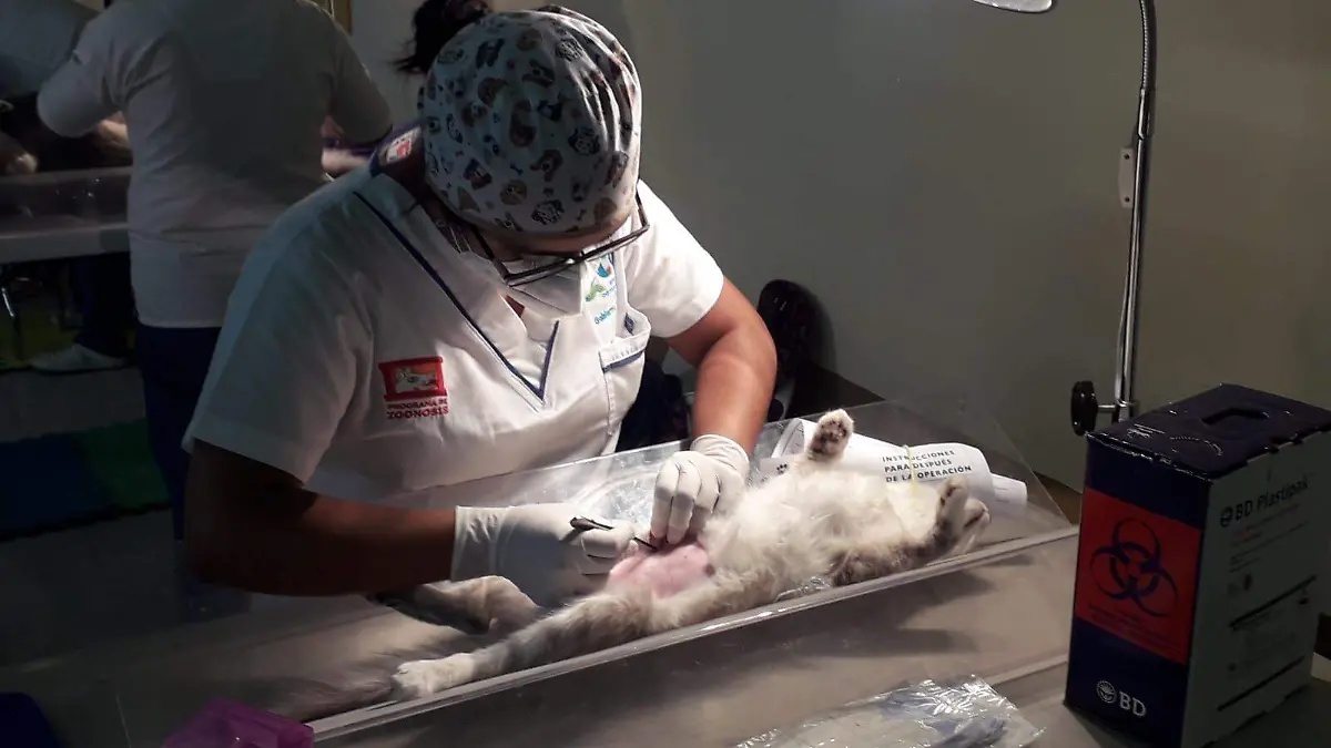 esterilizacion