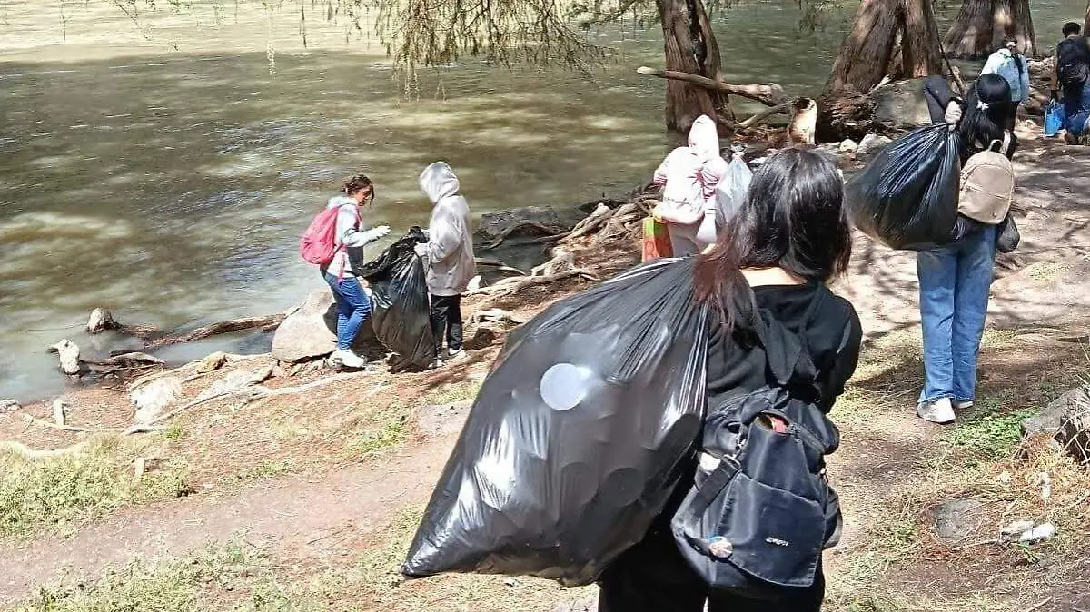 Limpieza Chamácuaro
