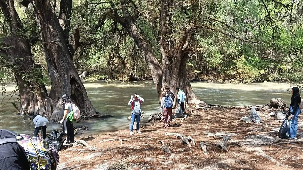 Limpieza Chamácuaro2.