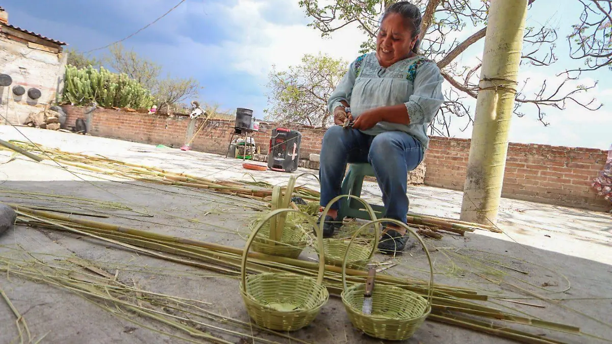 La recolección del carrizo se realiza en la orilla del arroyo, donde seleccionan las varas que servirán para elaborar los canastos.