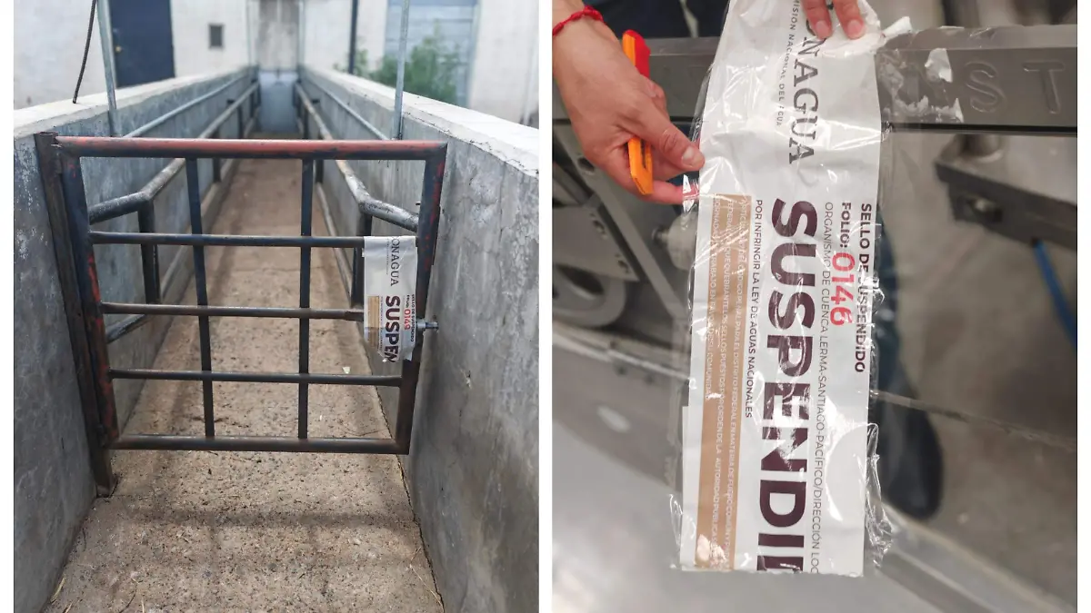 BeFunky-collage (11)