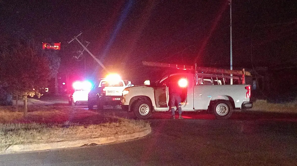 Elementos de CFE acudieron.