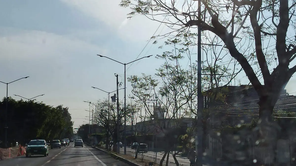 8e1a2491-2f2e-4f2f-9d08-a15c9a511596