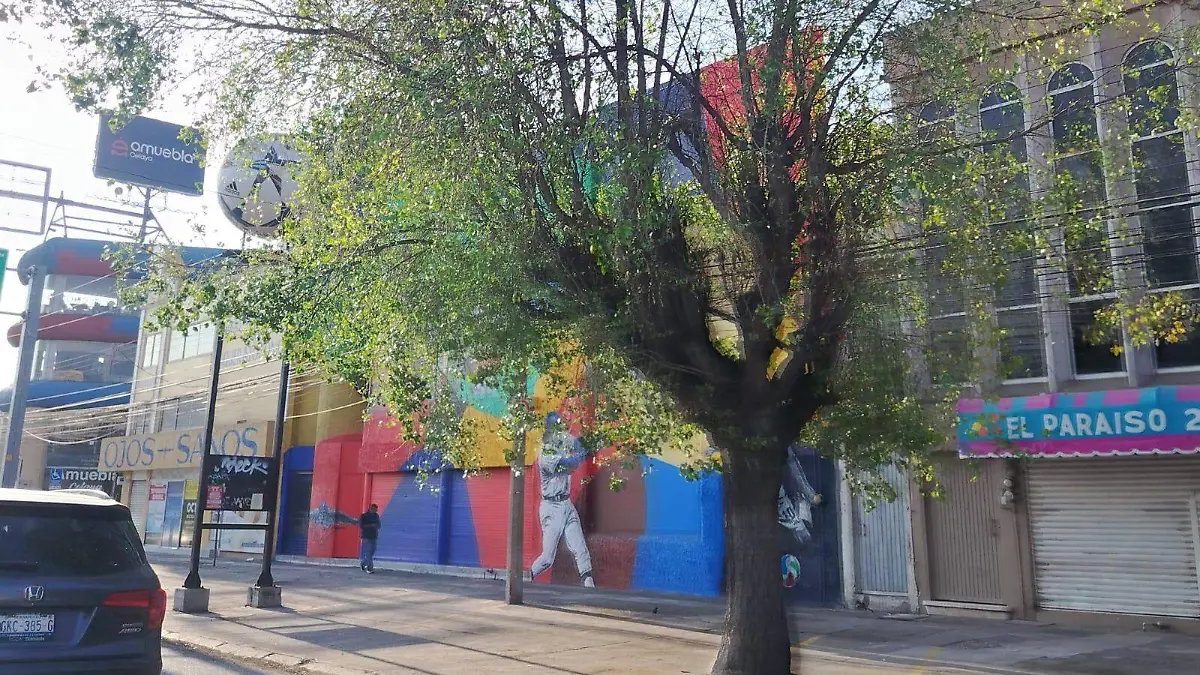 71c520b2-f70e-4cf1-949b-ff06a705d023