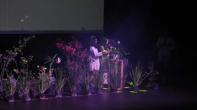 Las plantas recibieron diferentes estímulos.