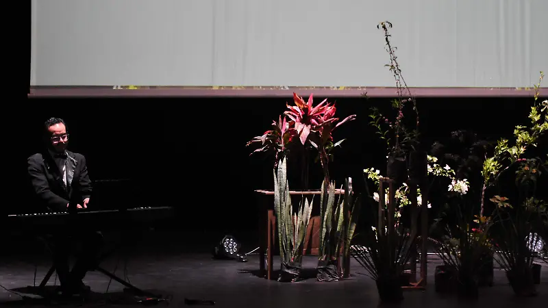 Las plantas reaccionan a la música.