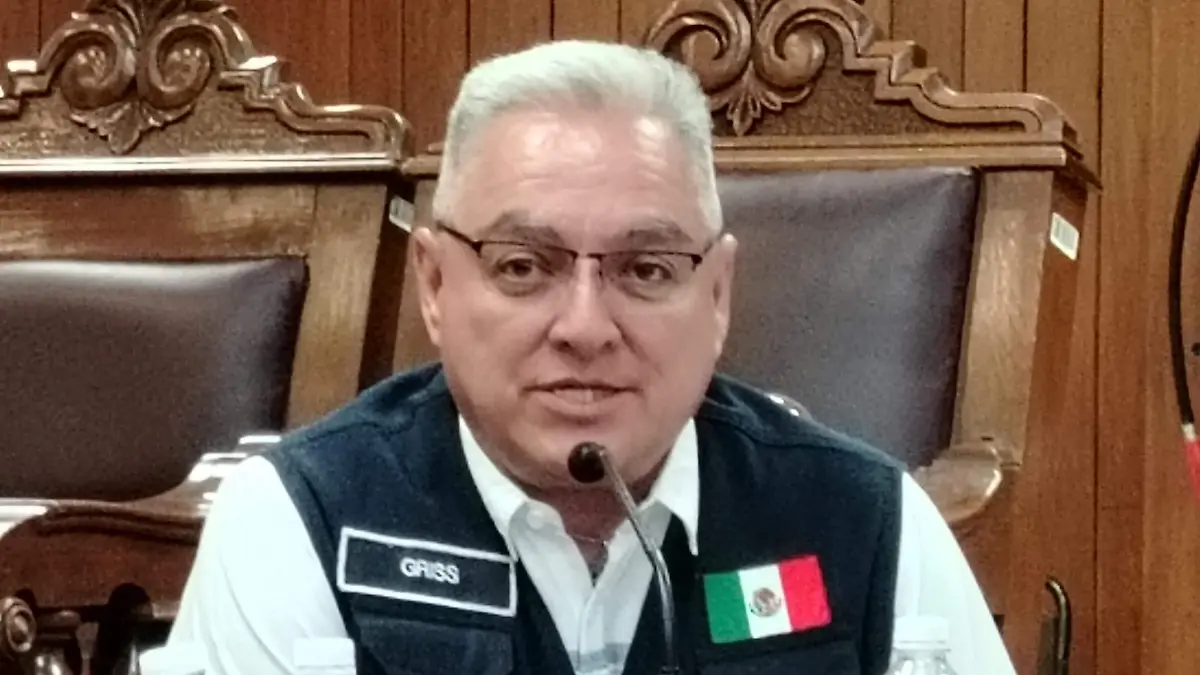 El director de Fiscalización Eduardo Griss Kauffman, dijo que el trenecito no podrá aún operar sin permisos 