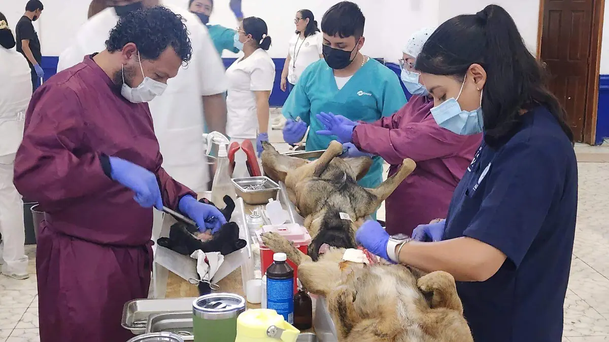 Esterilización