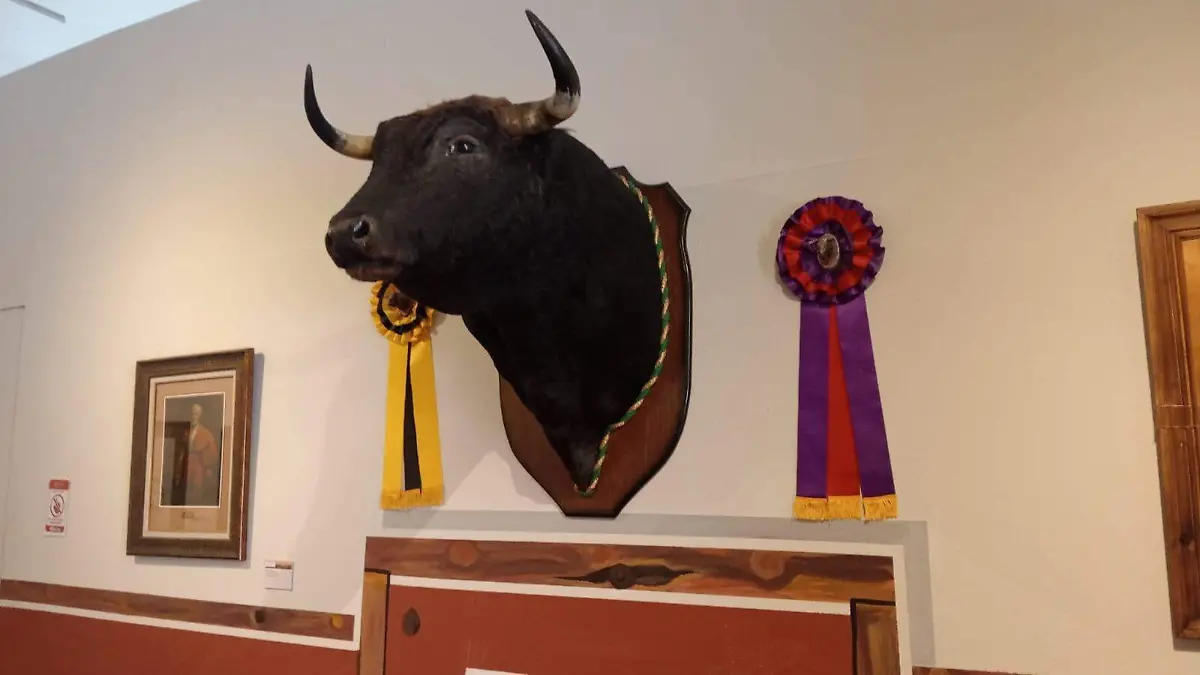  La exposición “Los mejores pintores taurinos de México” aun puede ser visitada en la Casa de la Cultura.