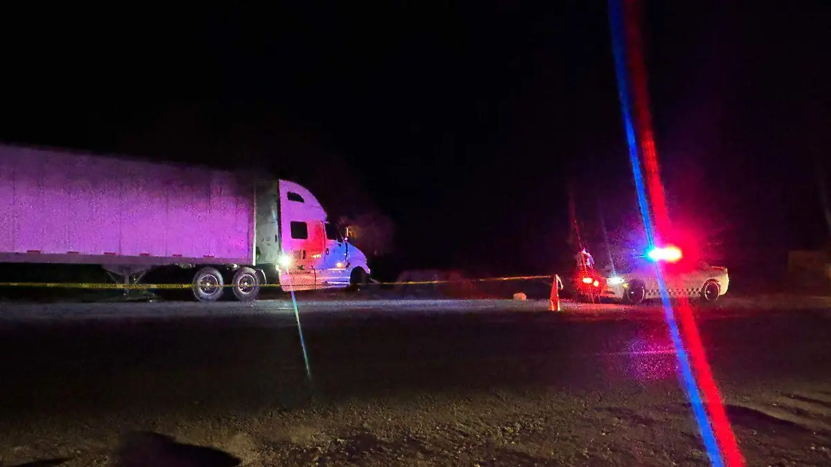 WhatsApp Image 2026-03-15 at 09.20.18