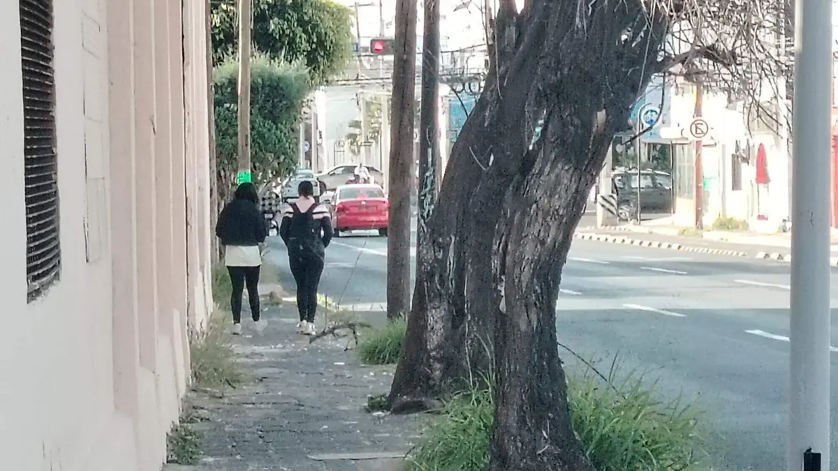 36ca264a-ff59-4fb4-87a0-895d076e5536