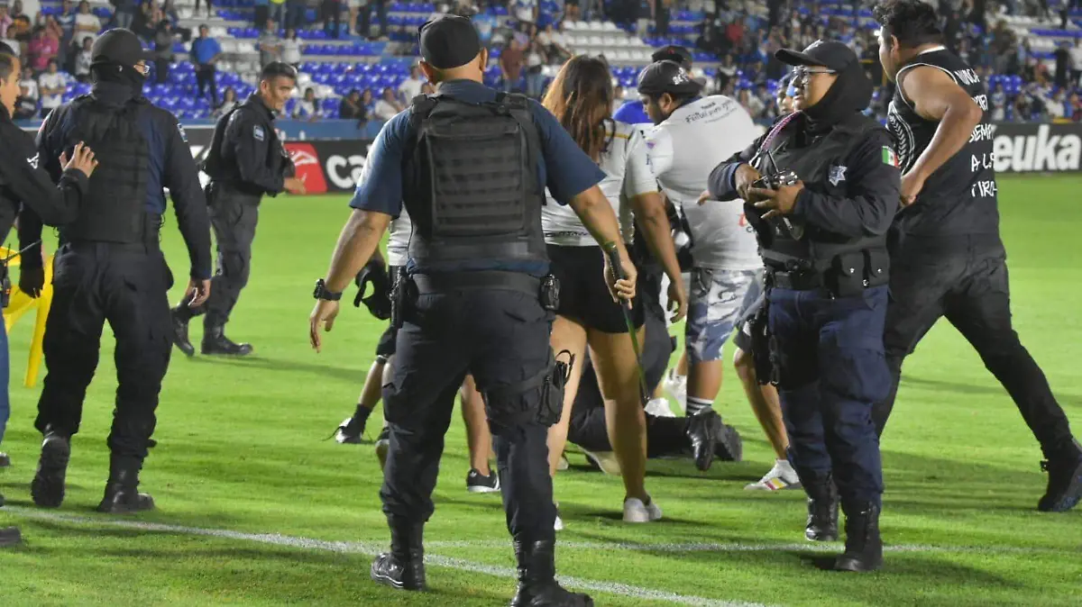 1c82fafd-75e4-4dda-ae7b-601ce08a5335