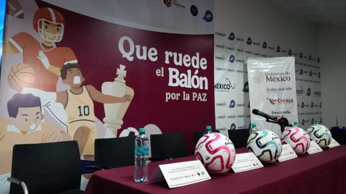 cf85095f-5f04-4272-b5b3-0a2416e820f2