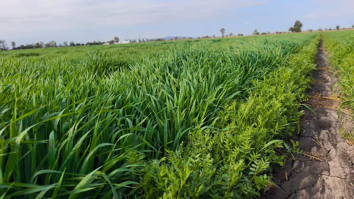 Con ello se obtendrá certeza jurídica de los terrenos