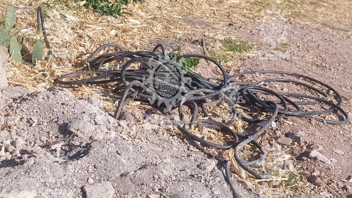 En el sitio fueron aseguradas mangueras y equipo presuntamente utilizado para la extracción ilegal de combustible.