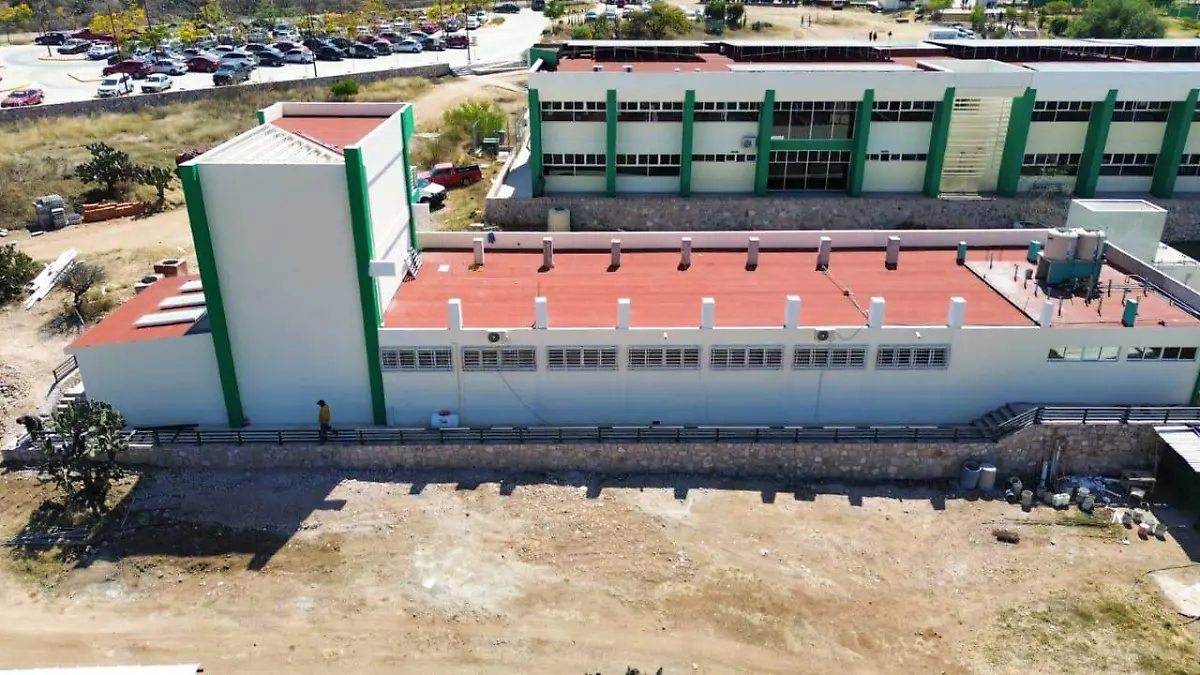 opvitivinicolautsma2