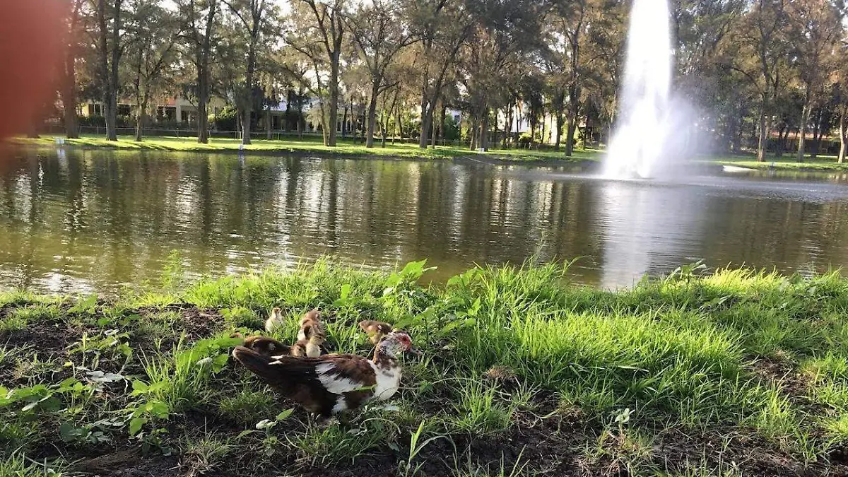 e69551f6-7137-4d32-b2c5-b8dbcfb40457