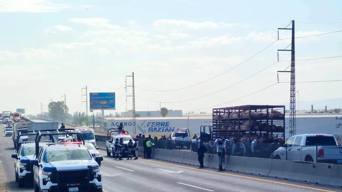 WhatsApp Image 2026-03-23 at 11.58.58 AM