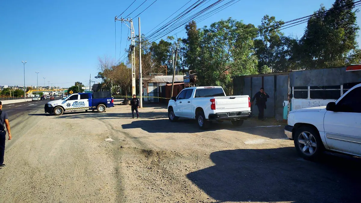 WhatsApp Image 2026-03-25 at 7.11.46 PM