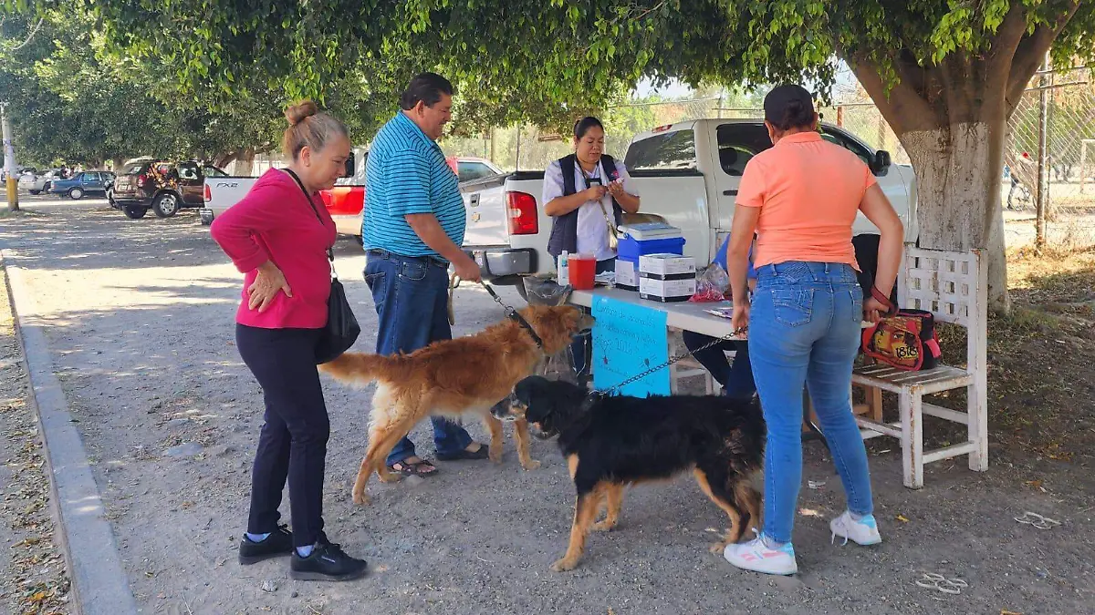 WhatsApp Image 2026-03-30 at 3.41.29 PM