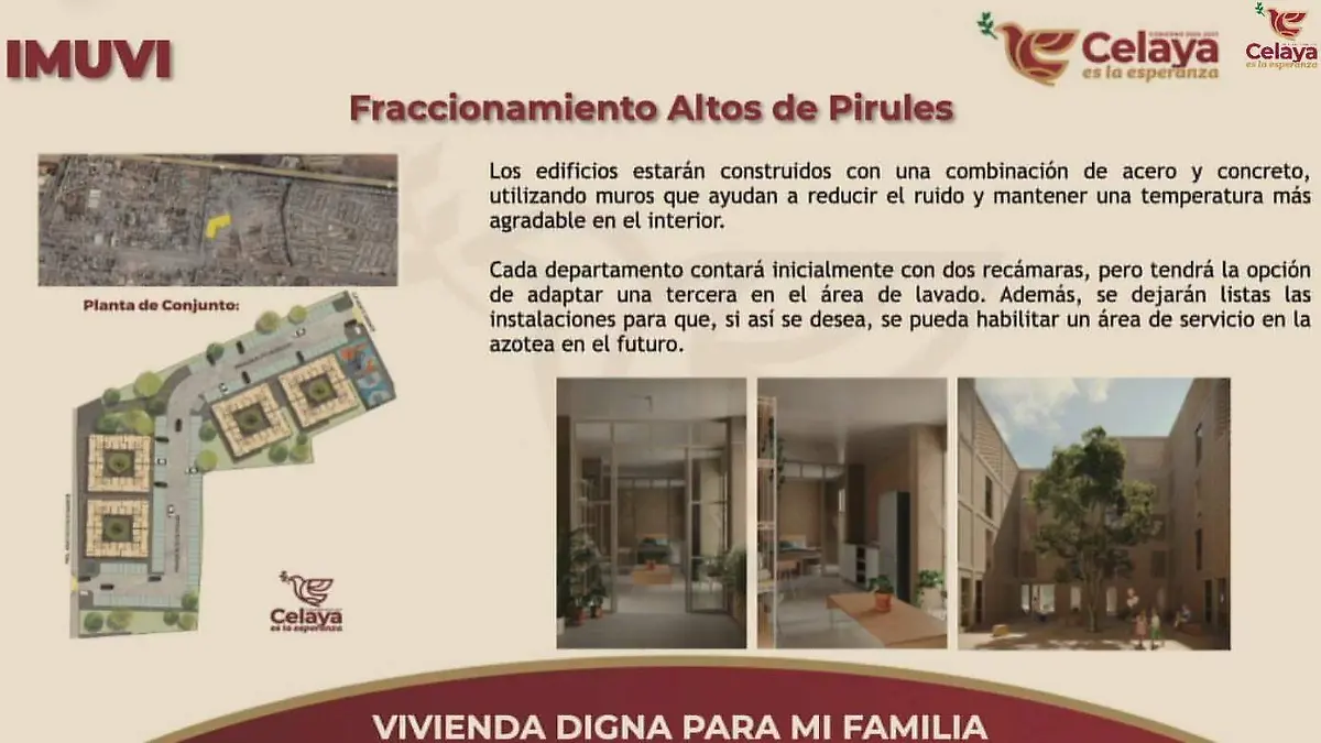 pyorecto pirules se calcela  (2)