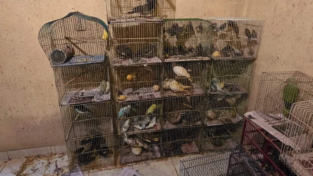 aa9a3ee4-d5ef-4bd3-9b71-cd3fc7a03f35