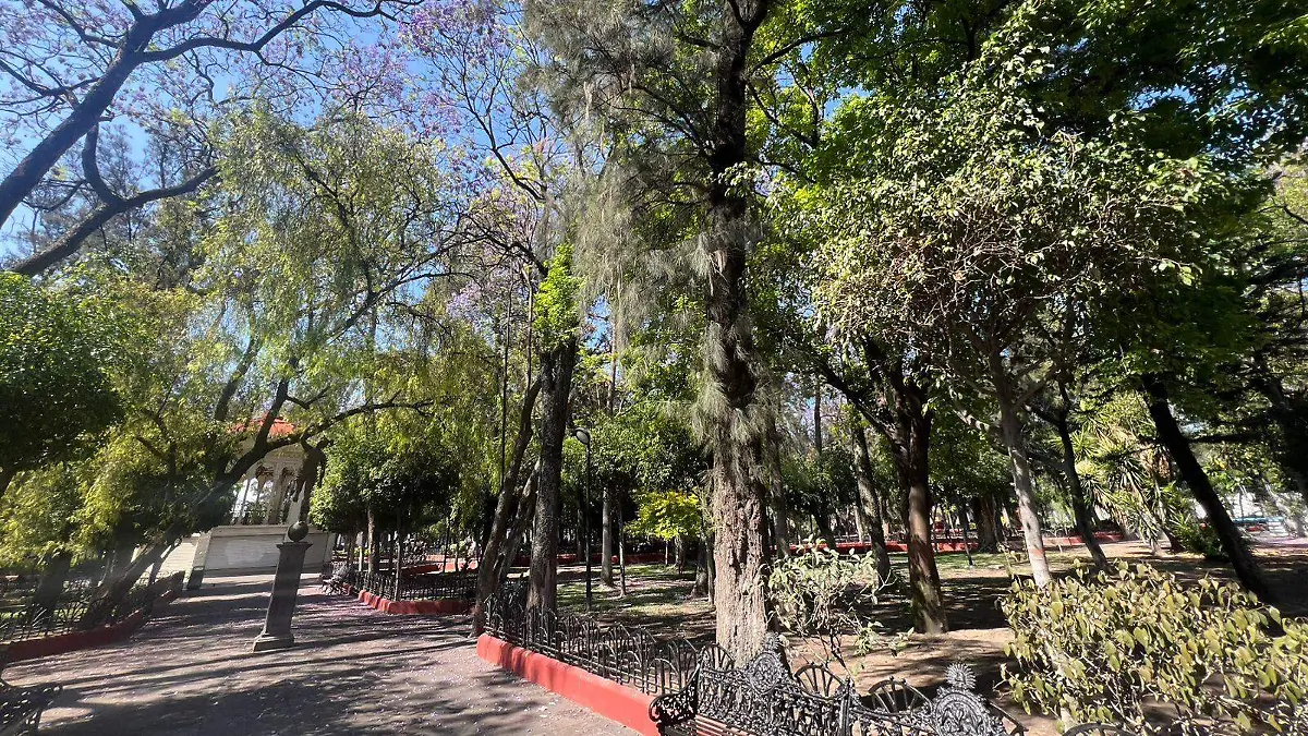 Advierten que el mayor peligro es la dispersión de esporas, pues podría agravar la situación.