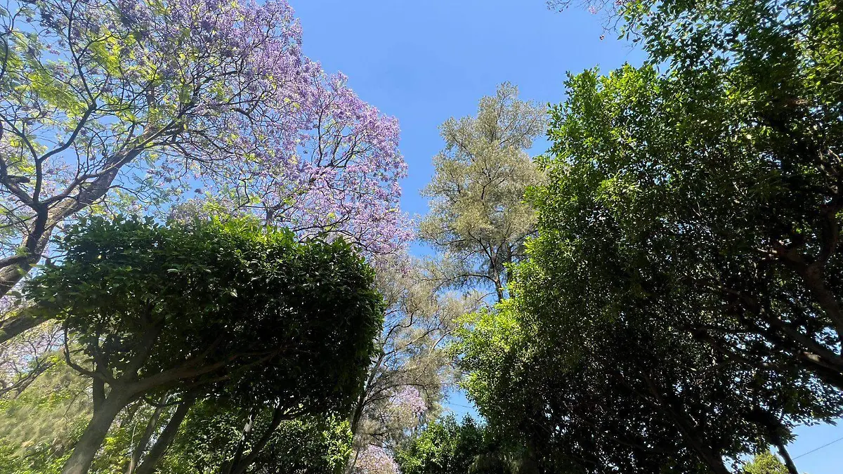 57fd8b03-6f0f-49a5-abe6-ed5d9a542792