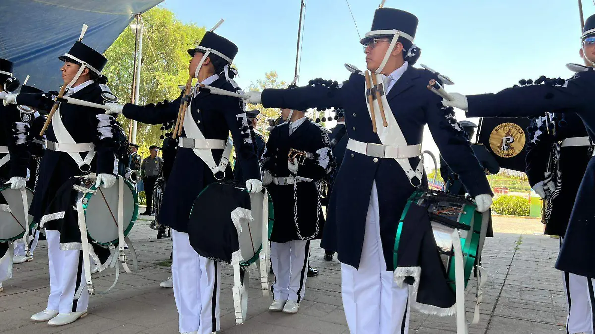 bandas 6