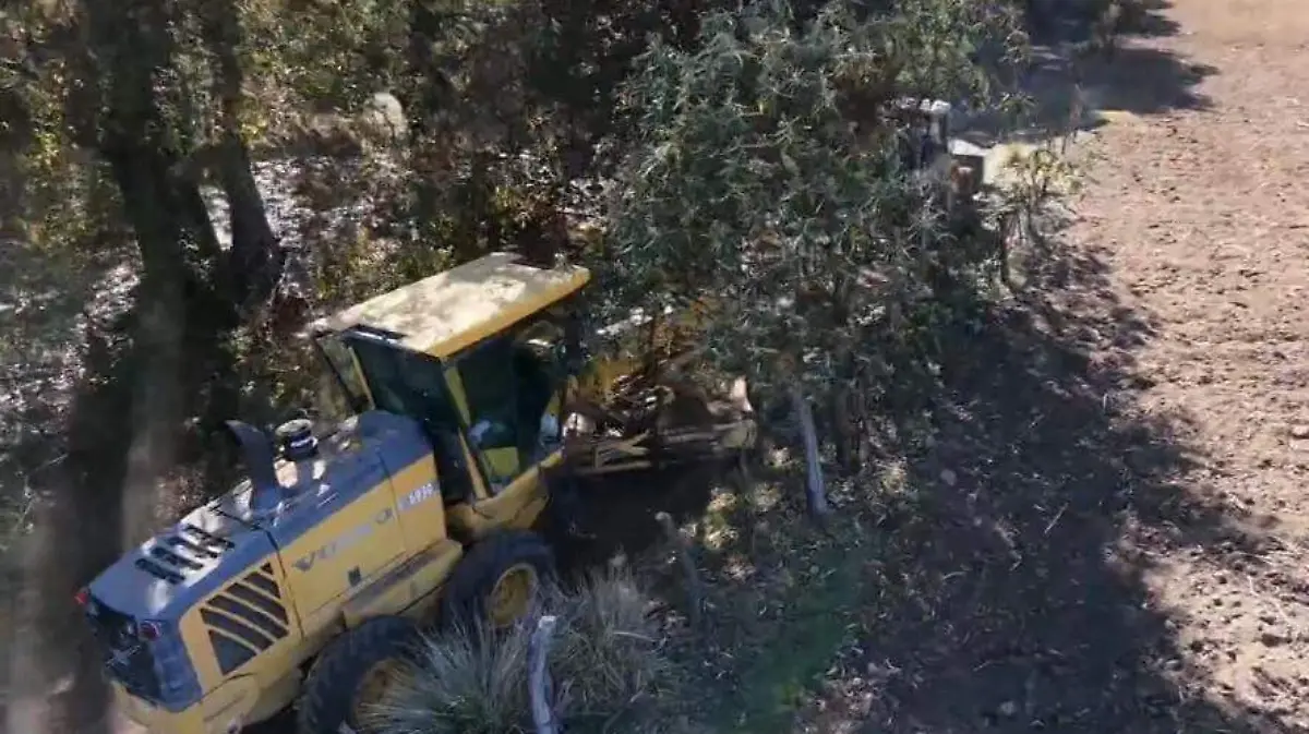 RESTAURACIÓN Y REFORESTACIÓN1